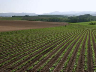 白山土壤檢測